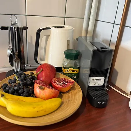 Apartament Cismigiu Elegance